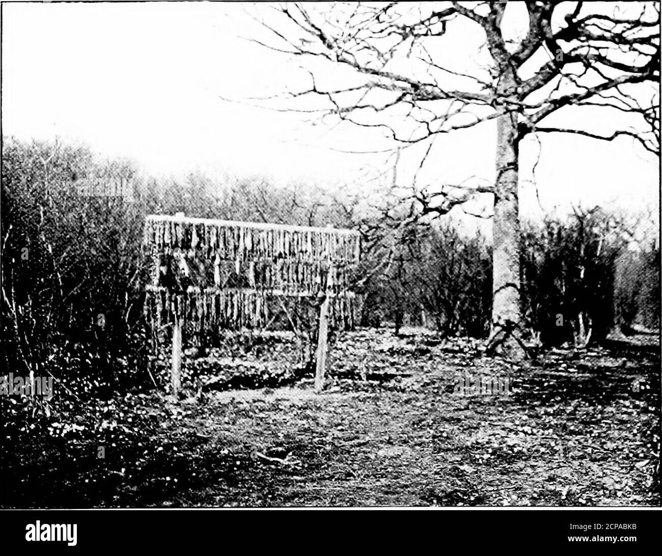 Gallows game hi-res stock photography and images - Alamy