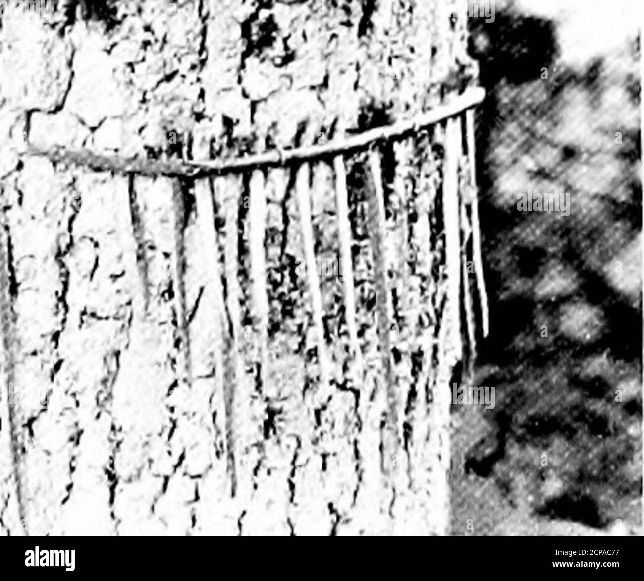 Gallows game hi-res stock photography and images - Alamy