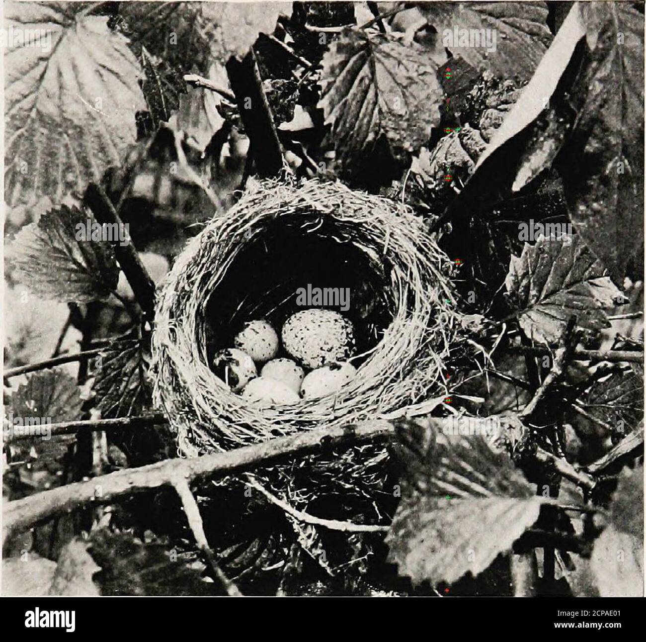 Page 10 Parry Sound High Resolution Stock Photography And Images Alamy