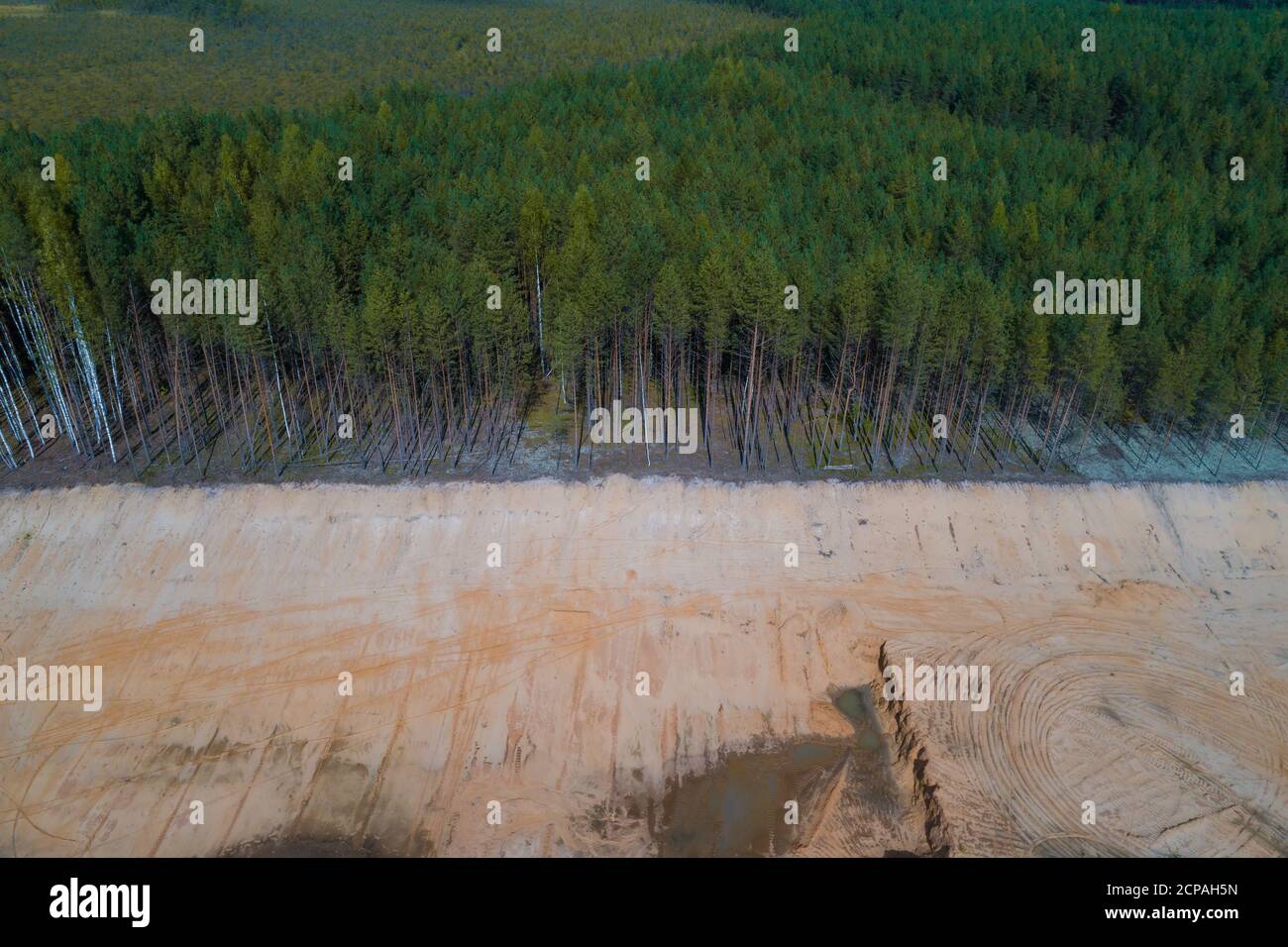Above the border of a coniferous forest and a sand pit on a sunny September day (aerial photography) Stock Photo