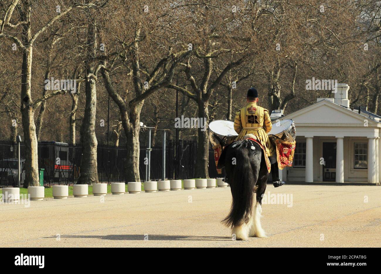 The drum horse of the Household Cavalry Mounted Regiment leaves the parade ground during a media viewing at Wellington Barracks showing uniforms that will be worn for the Queen's Diamond Jubilee celebrations, London March 21, 2012. Photograph taken March 21, 2012.  REUTERS/Olivia Harris (BRITAIN - Tags: SOCIETY ROYALS MILITARY ENTERTAINMENT) Stock Photo