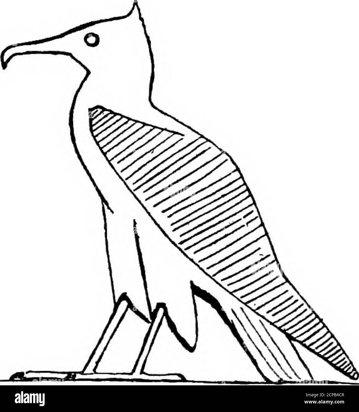 Egyptian birds for the most part seen in the Nile valley . andhead is told  in an old story in Curzons Monasteriesof the Levant. King Solomon,  according to thisaccount, was journeying