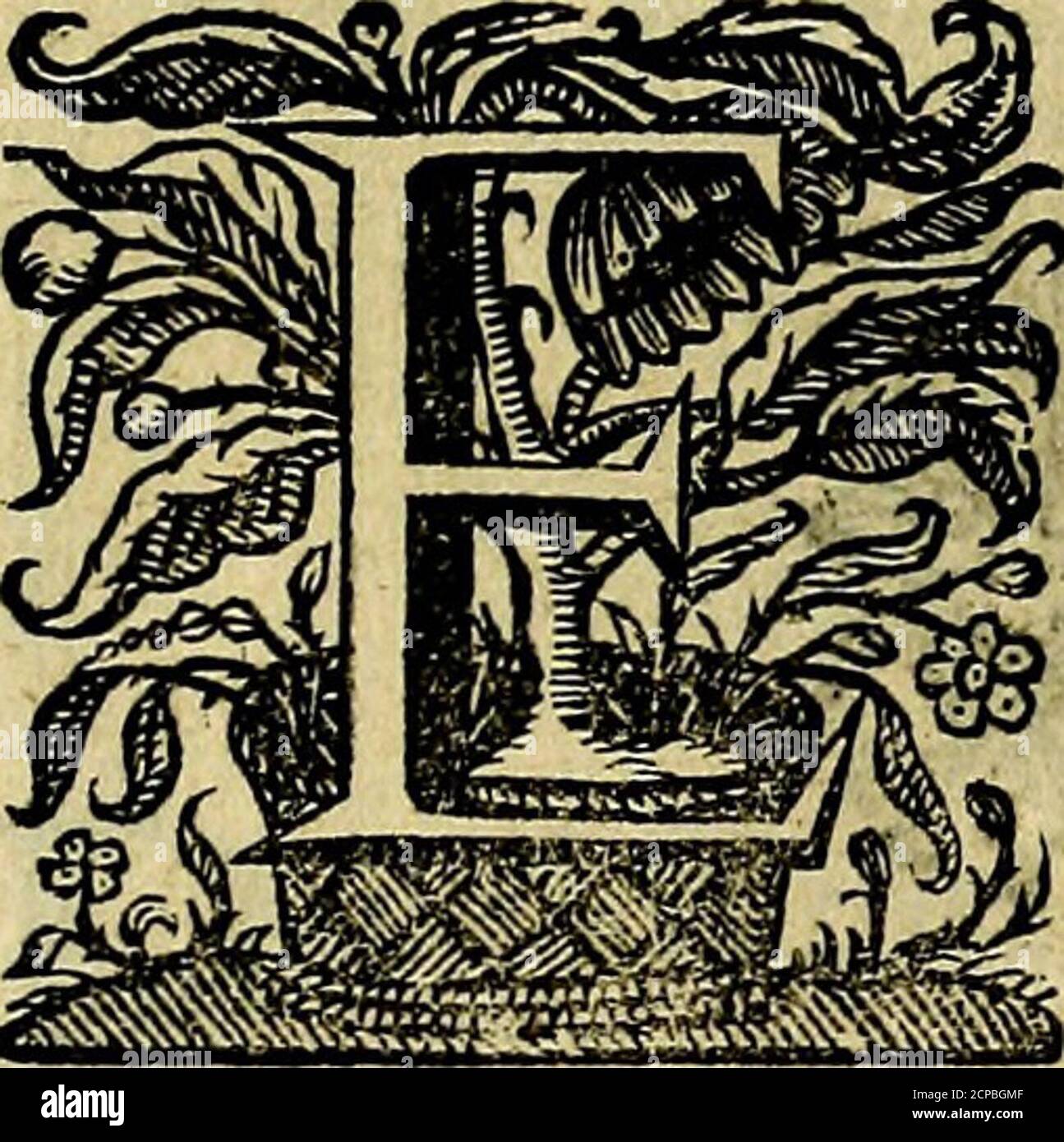 page 15 quia high resolution stock photography and images alamy