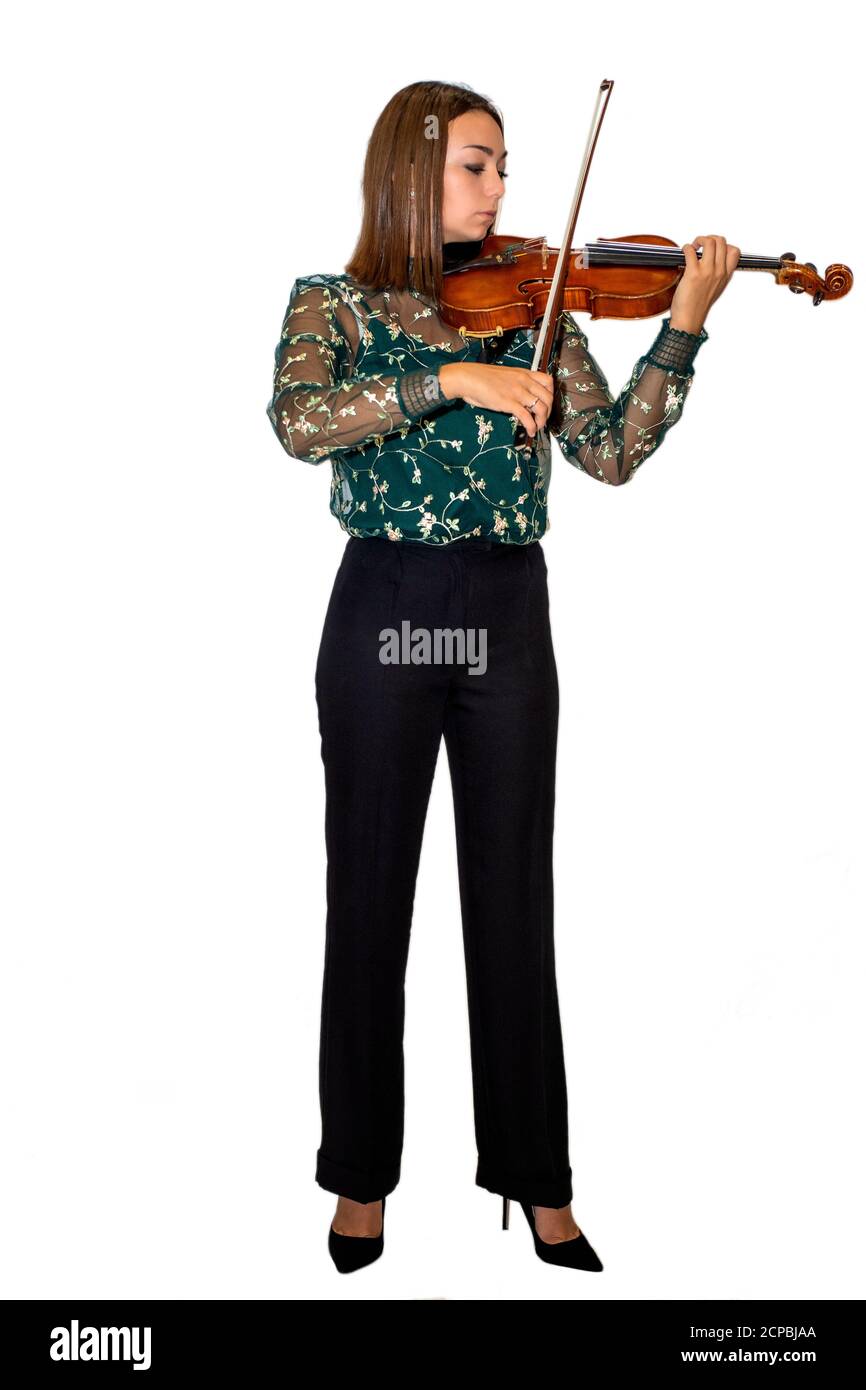 violino Stock Photo
