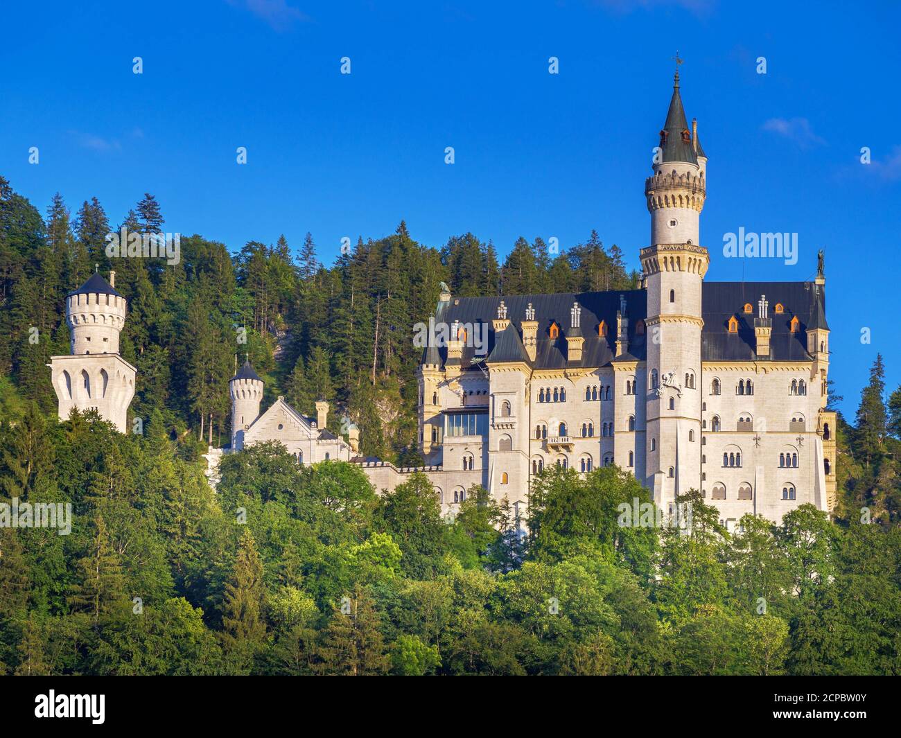 Neuschwanstein Castle, Schwangau near Füssen, Swabia, Bavaria, Germany Stock Photo