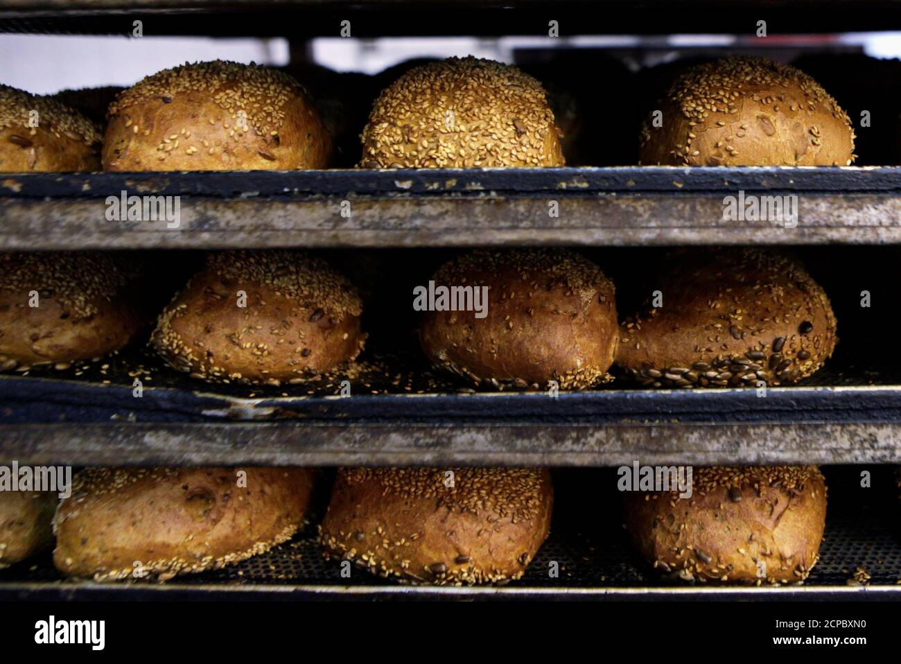 Freshly baked loaves of bread are stored on trays in a bakery in Berlin August 26, 2010.  Germany's 2010 grain crop of all types is likely to fall to around 43.9 million tonnes from 49.7 million tonnes last year, German farmers' association DBV said on Wednesday. German grain has suffered from an early summer heatwave followed by heavy harvest-time rain, it said.  REUTERS/Thomas Peter (GERMANY - Tags: BUSINESS FOOD AGRICULTURE) Stock Photo