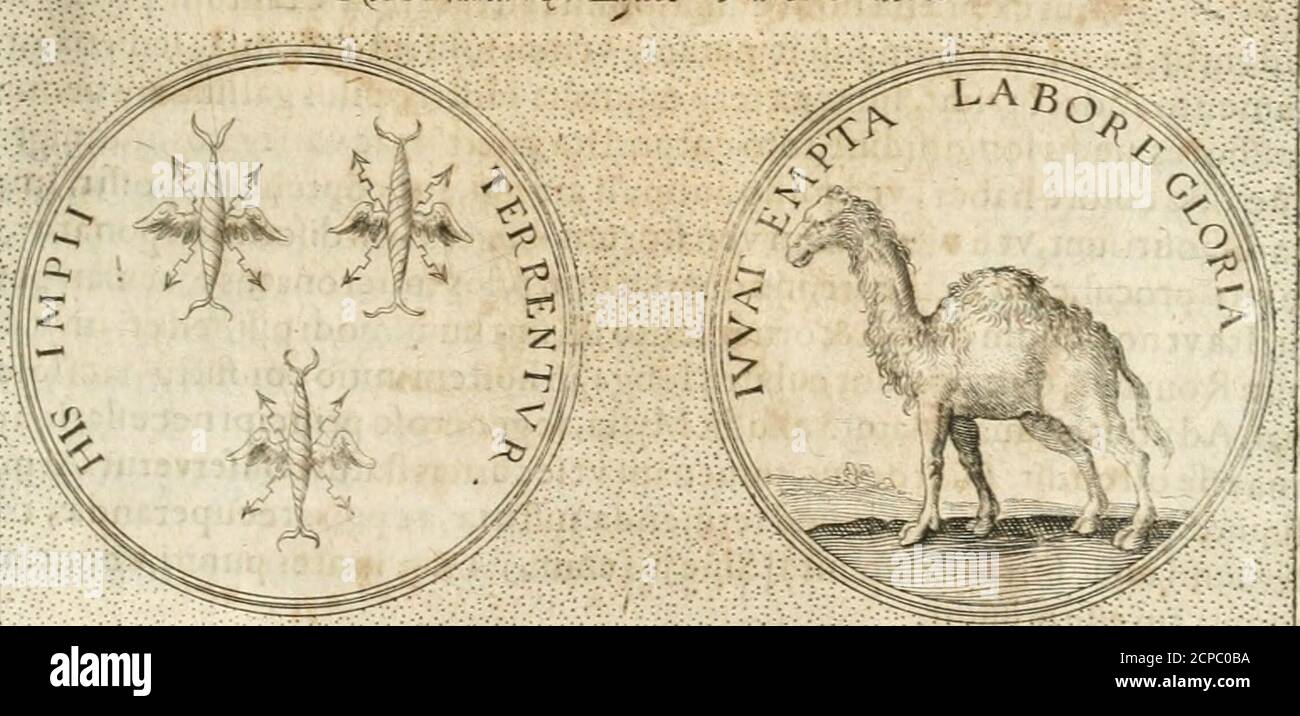 Ei Ens High Resolution Stock Photography And Images Alamy