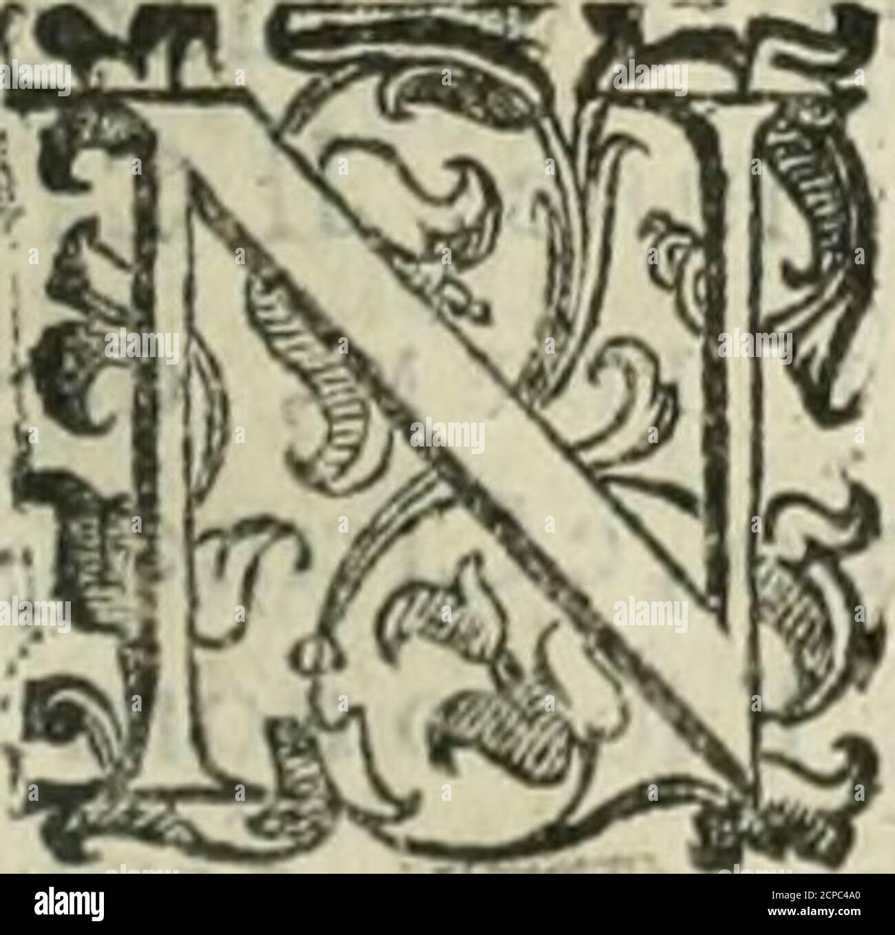 Dipo High Resolution Stock Photography And Images Alamy