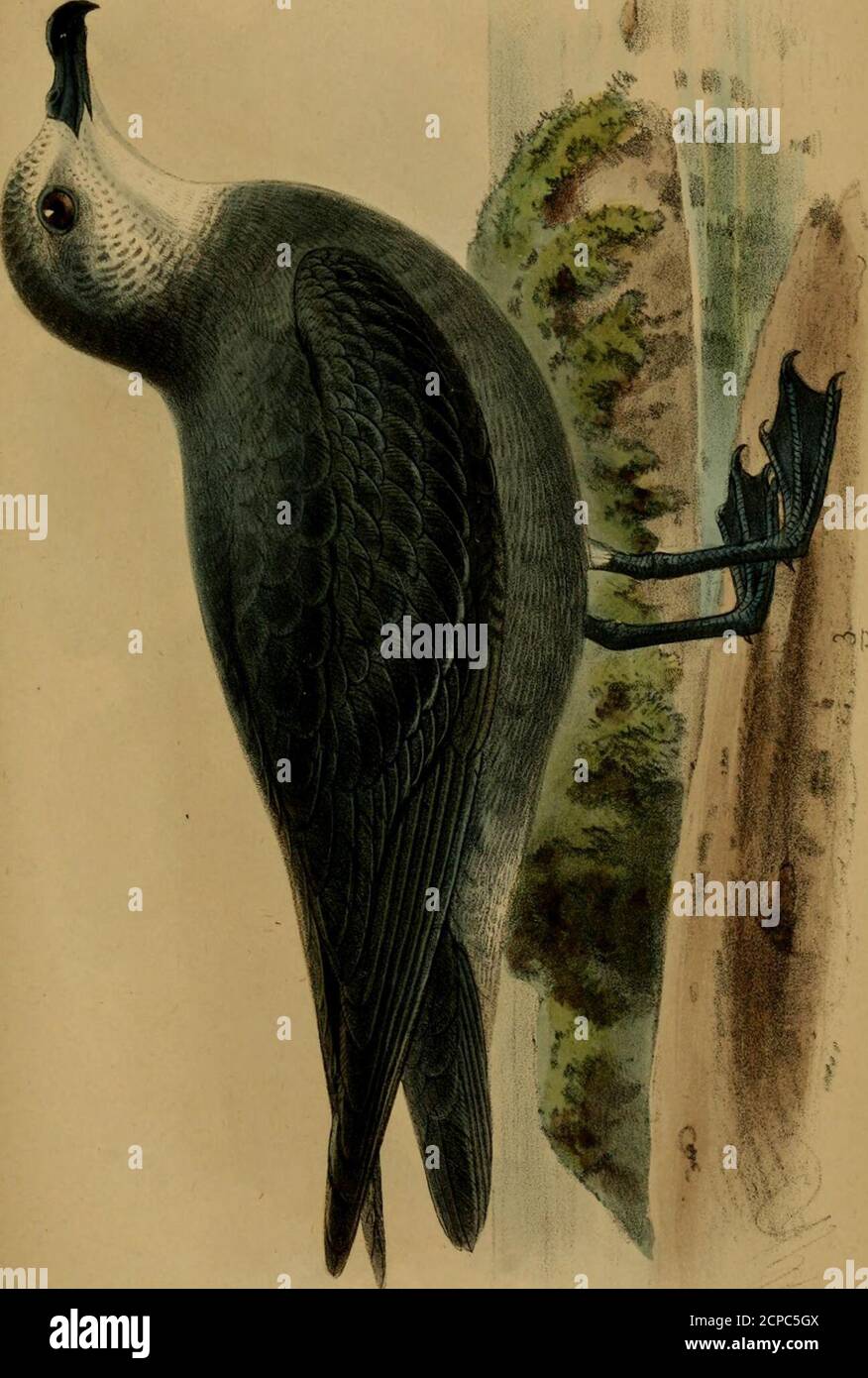 L Ell Hi Res Stock Photography And Images Page 5 Alamy L Ell Hi Res Stock Photography And Images Page 5 Alamy