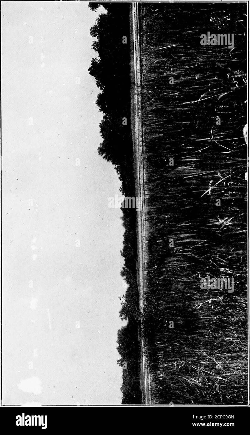 Map of presque isle Black and White Stock Photos & Images Alamy