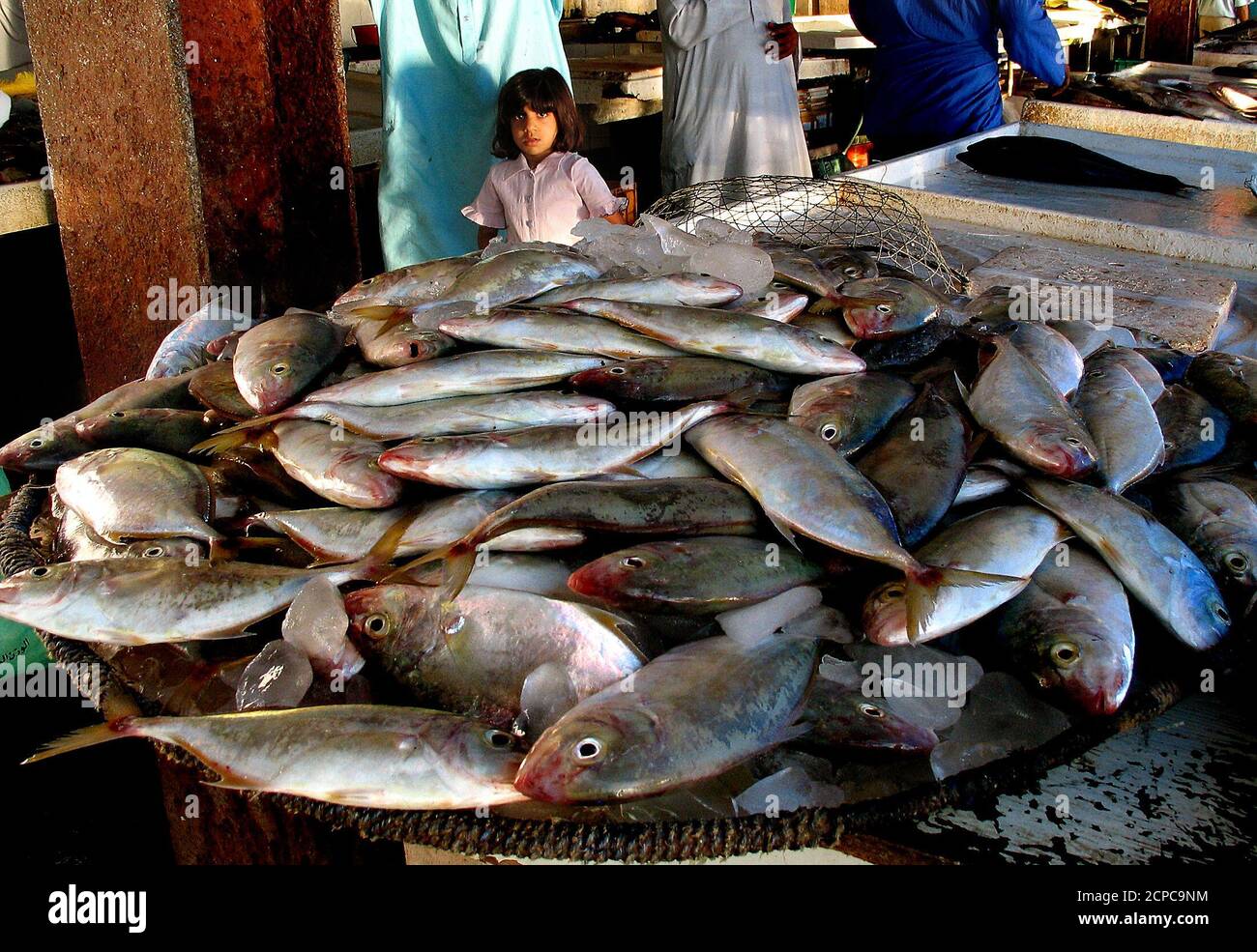 An Arabian girl looks at the fish as she is shpoping with her father at the Arabian Gulf of Sharjah market, part of the United Arab Emirates (UAE) November 6, 2003. The U.A.E is the fifth biggest fish producer in the Arab World. As fish resources constitute a significant percentage of the country's annual income, the U.A.E has a special ministry known as the Ministry of Agriculture and Fishery. The U.A.E's output of fish has reached 114,000 tonnes in the year 2002. The warm and shallow waters of the Arabian Gulf provide plenty of plankton for the fish. Besides, the calm sea conditions and the  Stock Photo