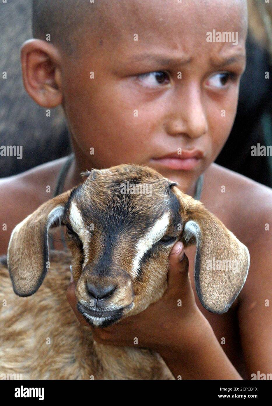 Bangladeshi Animals High Resolution Stock Photography and Images - Alamy