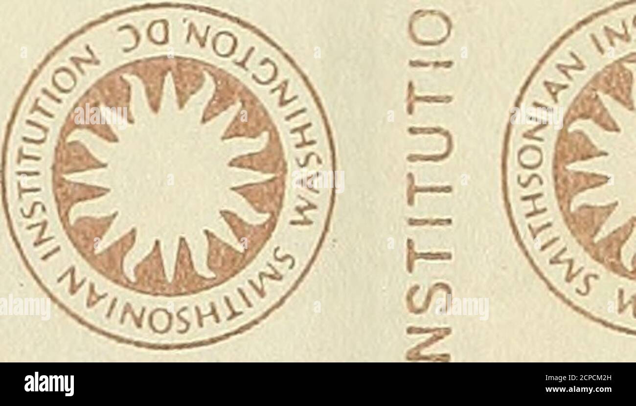 . Bird lore . iiSNiNviNOSHims S3iavdan libraries^smithsonianinstitution noik « &gt; Z r- 2 H ^ CD CO ± C/5 ^ CO RIES SMITHSONIAN INSTITUTION NOIinillSNI NVINOSHimS S3iavaan LIBR SHiiiMS S3idvaari libraries Smithsonian institution ^oiif CO   — &lt;j) — CO Stock Photo