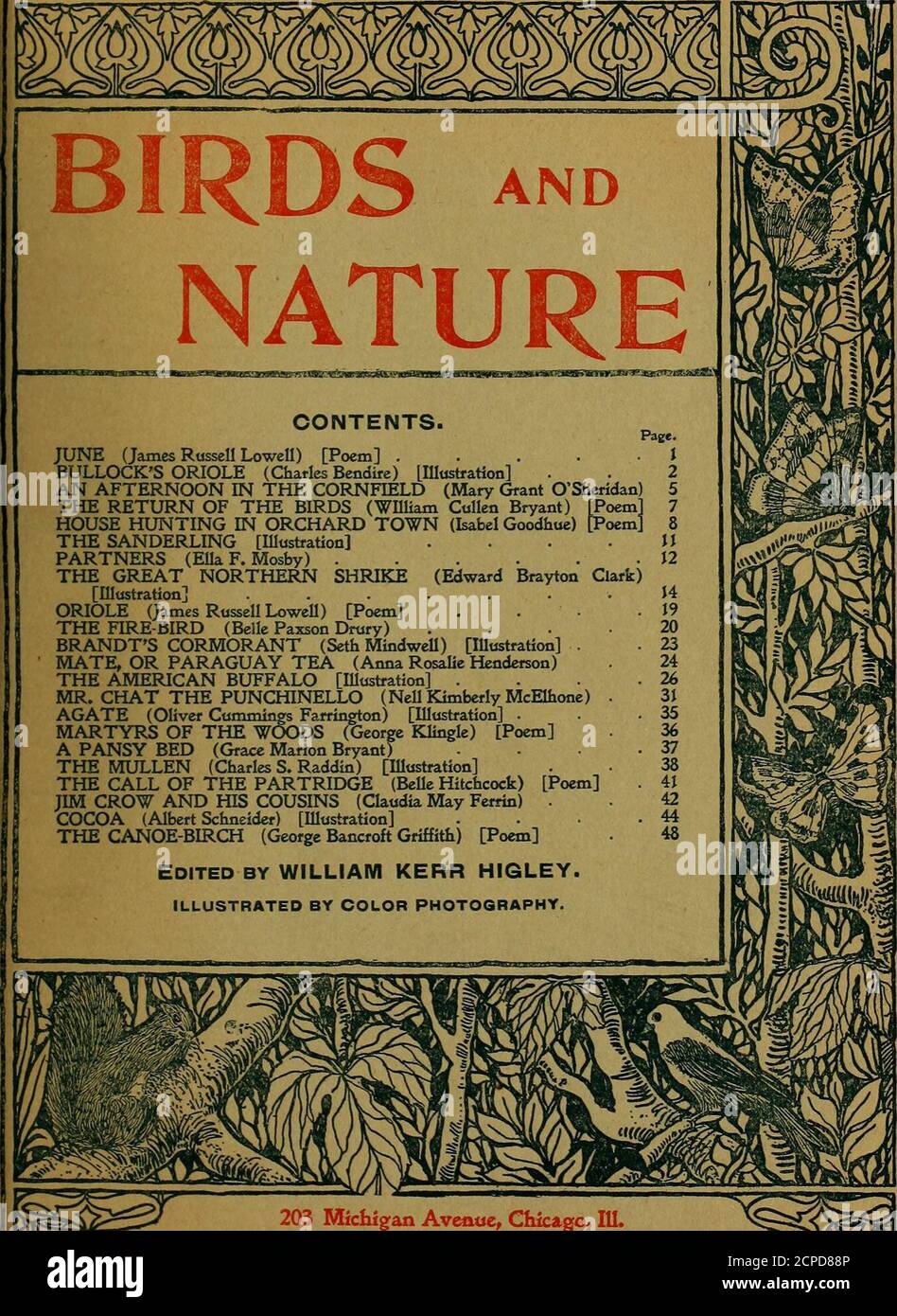 . Birds and nature . s Bendire) [Illustration] AN AFTERNOON IN THE CORNFIELD (Mary Grant OSheridan) THE RETURN OF THE BIRDS (William Cullen Bryant) Poem] HOUSE HUNTING IN ORCHARD TOWN (Isabel Goodhue) THE SANDERLING [Illustration] PARTNERS (EllaF. Mosby) THE GREAT NORTHERN SHRIKE (Edward Brayton[Illustration] ...... ORIOLE (James Russell Lowell) [Poem] . THE FIRE-BIRD (Belle Paxson Drury) BRANDTS CORMORANT (Seth Mindwell) [Illustration] . MATE, OR PARAGUAY TEA (Anna Rosalie Henderson) THE AMERICAN BUFFALO [Illustration] . MR. CHAT THE PUNCHINELLO (NellKimberly McElhone) AGATE (Oliver Cummings Stock Photo