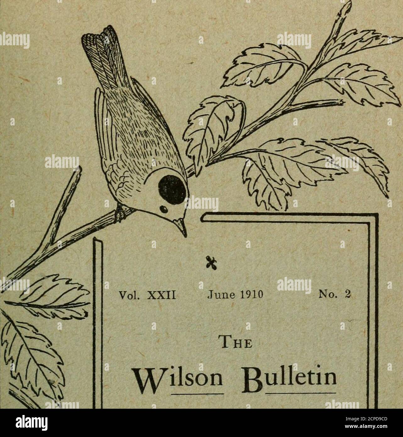 . The Wilson bulletin . March, June, September and December, bythe Wilson Ornithological Club at Oberlin, Ohio, edited by LyndsJones. Subscription: One Dollar a year, including postage, strictly in ad-vance. Single numbers, 30 cents, unless they are Special numbers,when a special price is fixed. The Bulletin, including all Specialnumbers, is free to all paid up members, either Active, Associate, orHonorary, after their election. Subscriptions may be addressed to the editor, or to Mr. Frank L.Bums, Berwyn, Pa. Advertisements should be addressed to The Wilson Bulletin,Oberlin, Ohio. Terms will b Stock Photo
