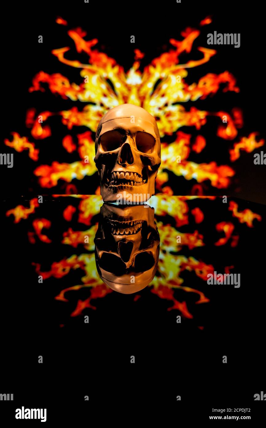 Cartoon Realistic Scary Human Skull On Fire Stock Illustration  Download  Image Now  Fire  Natural Phenomenon Skull Grunge Image Technique   iStock