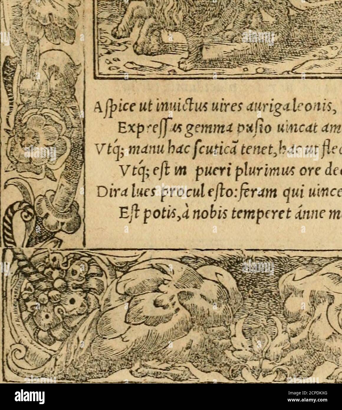 . Emblemata d'A. Alciati : denuo ab ipso autore recognita ac, quae desiderabantur, imaginibus locupletata : accesserunt noua aliquot ab autore emblemata, suis quoque eiconibus insignita . A j]?icf wt trmic^lu^ «tm aurig^ lcoitis, j I &lt;, Expf(|wgfmwi onjio umcdt amor: /^ fcj- manu hac fcutiat tenetjuc mf.eclit bahTius,Vtq; eft m pucri plurmu^ ore decor. Dira lues proculefloiferam qui umccre ticn£/!■ ^otii^k nobis temperet .{nne manm? H ^yi Ii5 A M Q R. -.^TP-^T^-: Stock Photo