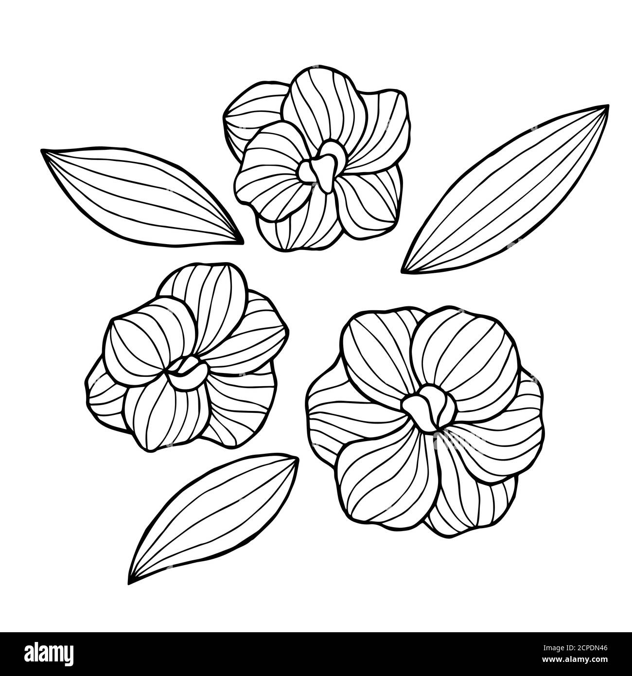 Abstract flowers graphic set black white isolated illustration vector