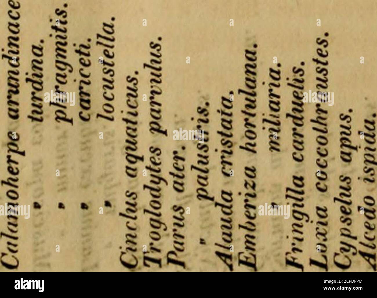Page 434 F E M A High Resolution Stock Photography And Images Alamy