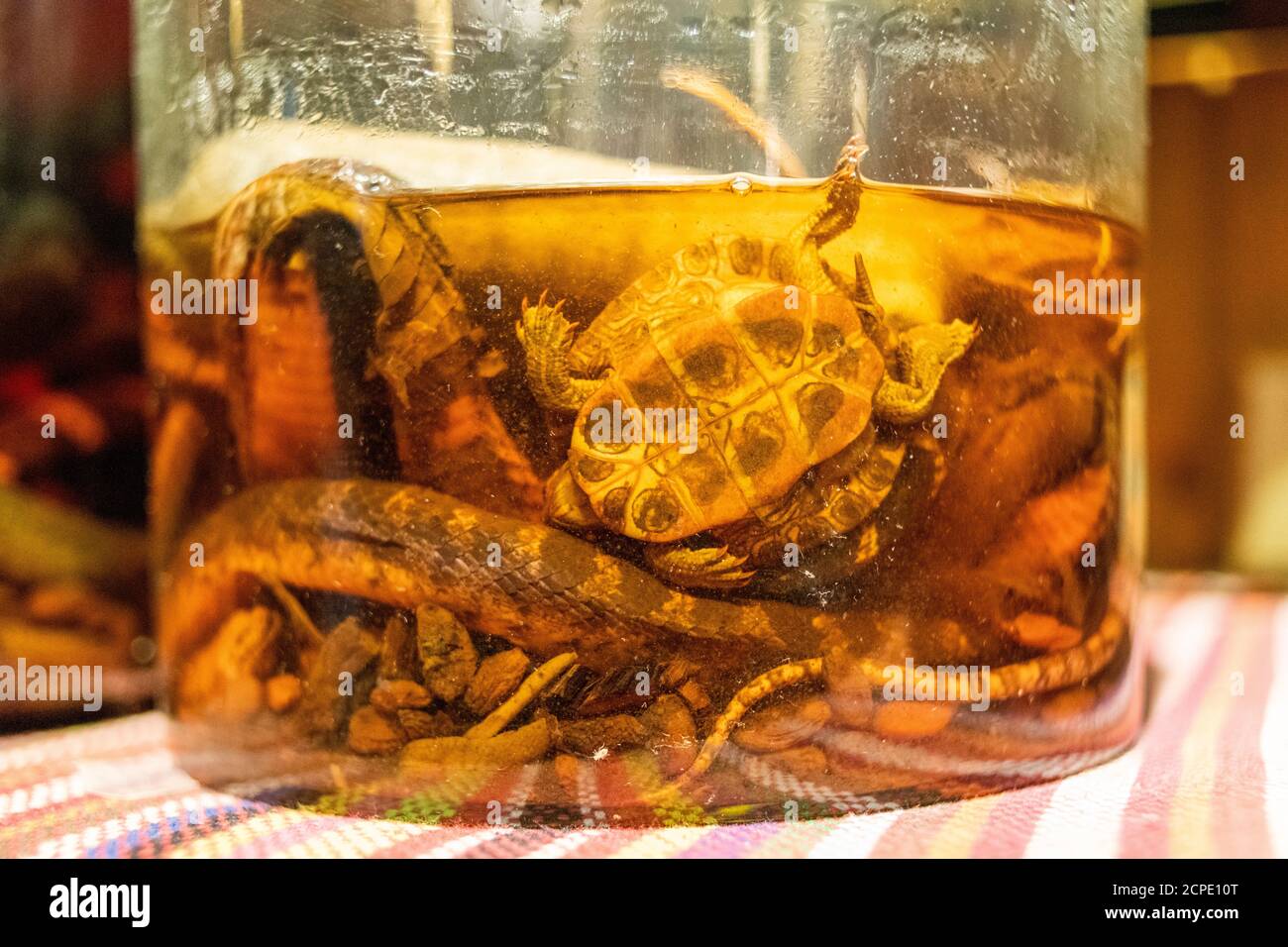 Traditional liquor for sale in a Ping'an restaurant, fortified with turtles, snakes etc. Stock Photo