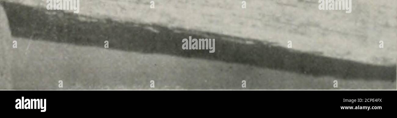 Page 6 Bring Forth High Resolution Stock Photography And Images Alamy