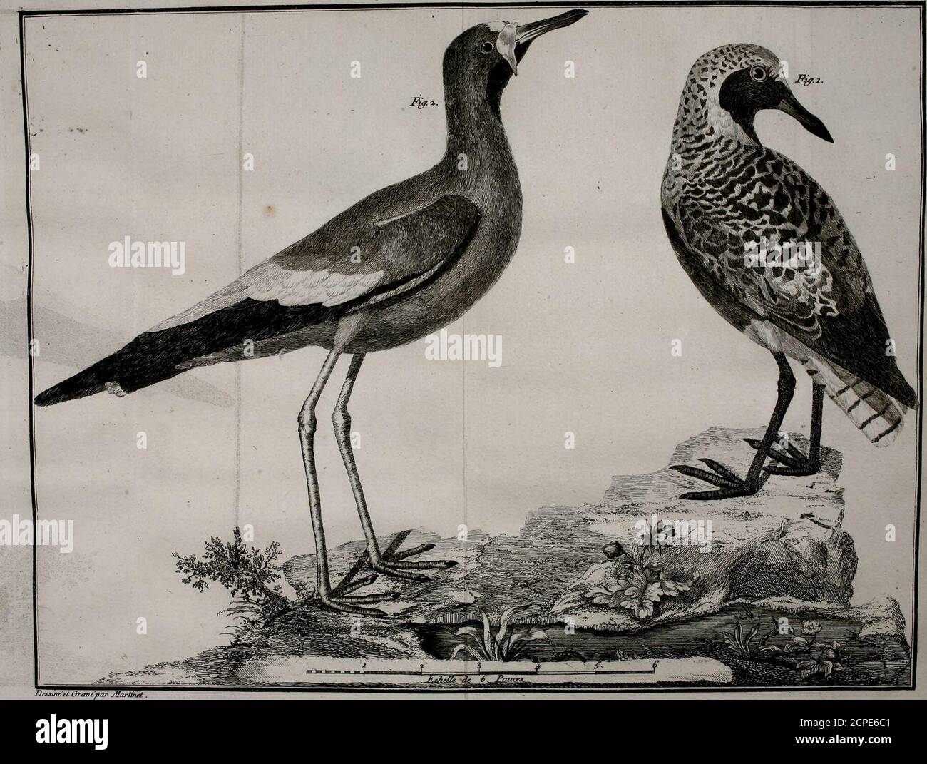 Cafe Varietes High Resolution Stock Photography And Images Alamy