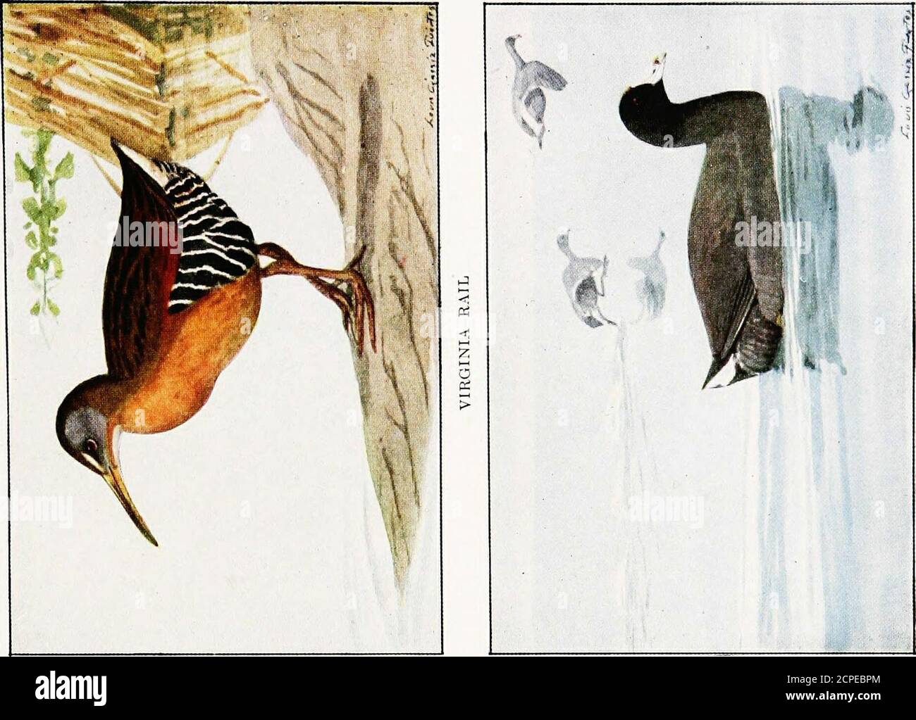 Page 226 P R G S High Resolution Stock Photography And Images Alamy
