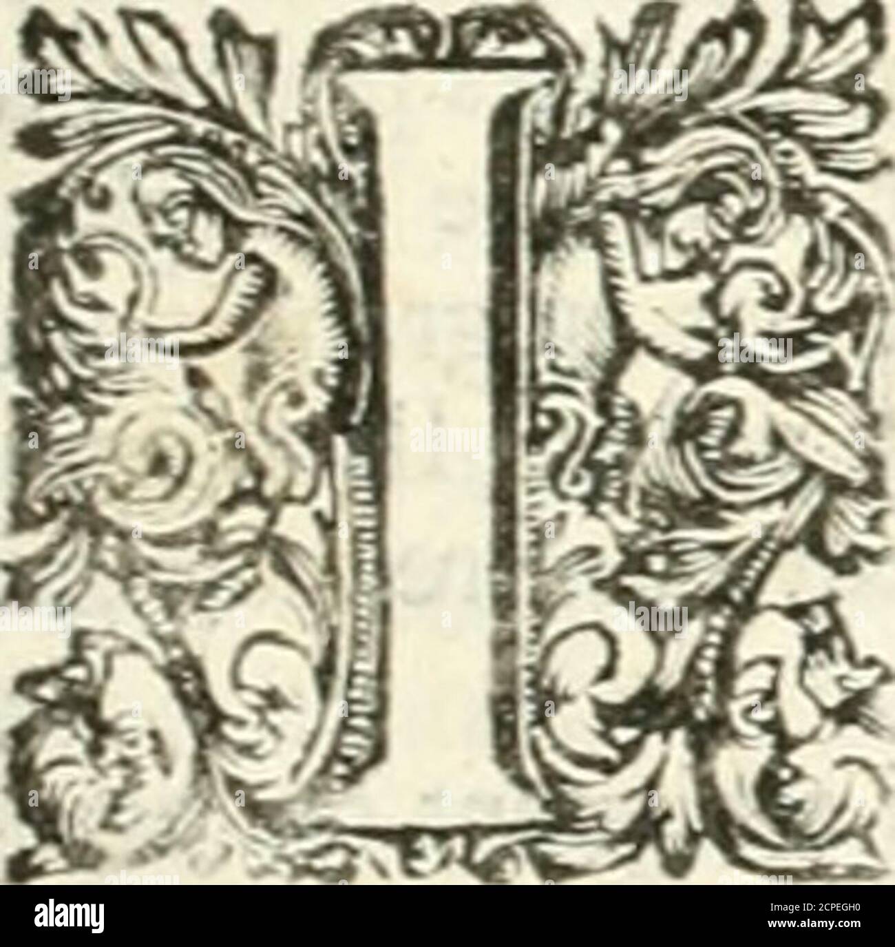 Page 2 Rfj High Resolution Stock Photography And Images Alamy