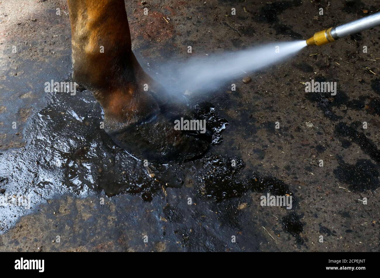Kerosene oil spray hires stock photography and images Alamy