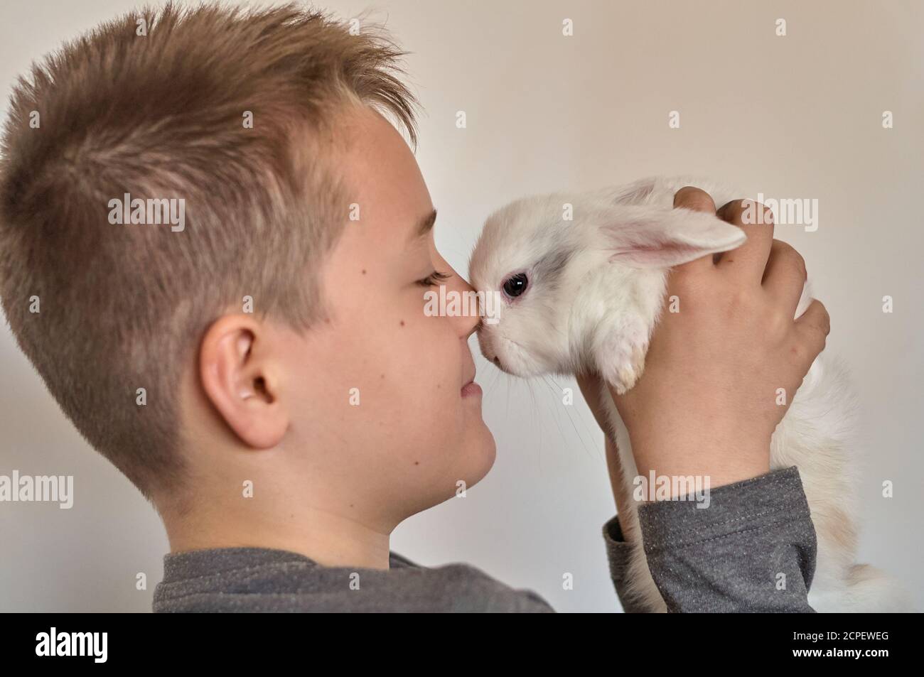 a boy with a white rabbit in his hands Stock Photo - Alamy