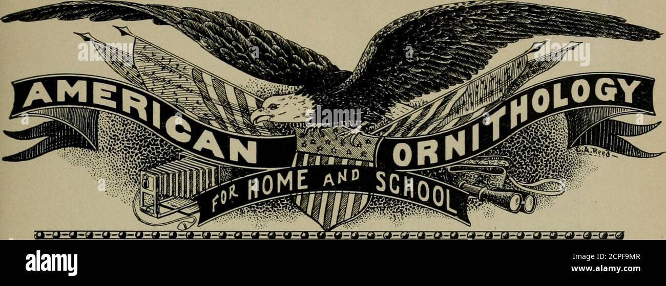 . American ornithology for the home and school . .;Vol. 3, $1. Pacific Coast Avifauna No. I, Birds ofthe Kotzebue Sound Region, Alaska. price 75 cents.Address all communications to C. BARLOW. Editor and Business Manr, Sa-nta. Clara.. Cal. THE MINERAL COLLECTOR PUBLISHED MONTHLY. $1.00 A YEAR. The only magazine in the country devo-ted entirely to .Minerology. Now in itseighth year. Send for sample copy Exchange page free to Subscribers. ARTHUR CHAMBERLAIN, 238 Greene St.. NEW YORK CITY Naturalist Supply Depot DEALER IN SUPPLIES, BIRD SKINS AND EGGS, GLASS EYES Mounted Specimens a Specialty.Send Stock Photo