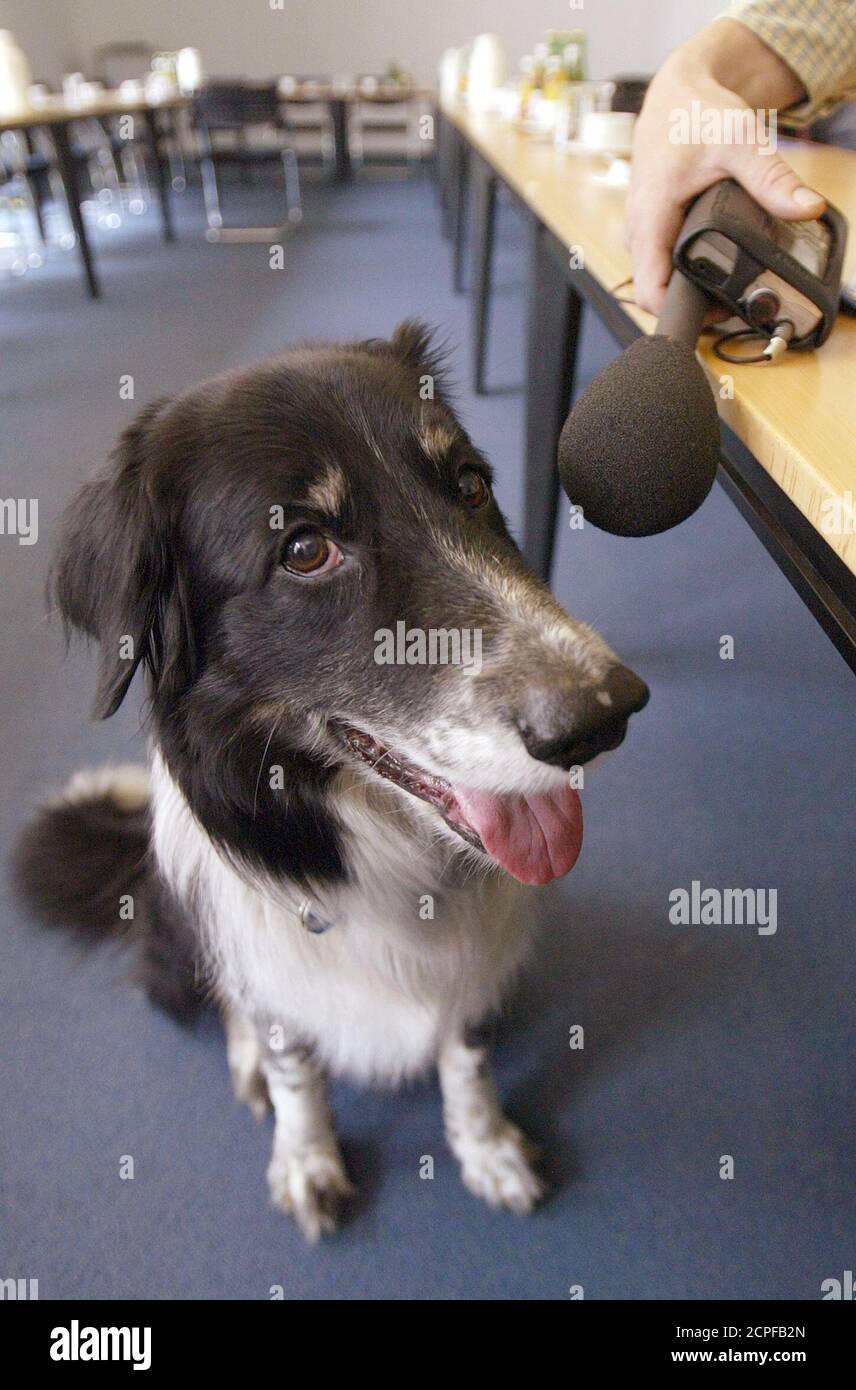A radio correspondent tries to get a soundbite with his microphone from  border collie Rico, who can fetch at least 200 objects by name in Berlin  June 10, 2004. The clever dog