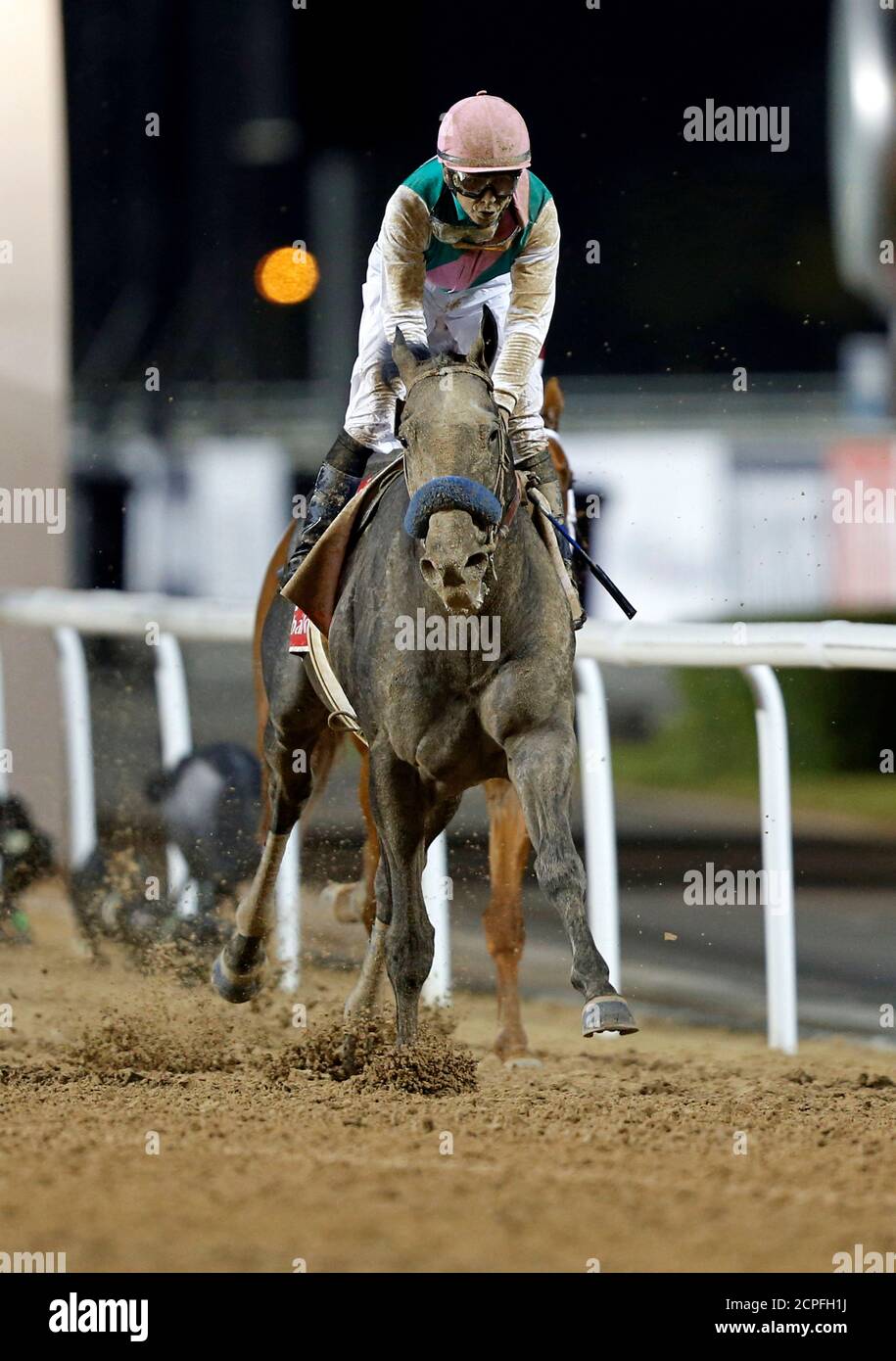 Arrogate horse dubai hires stock photography and images Alamy