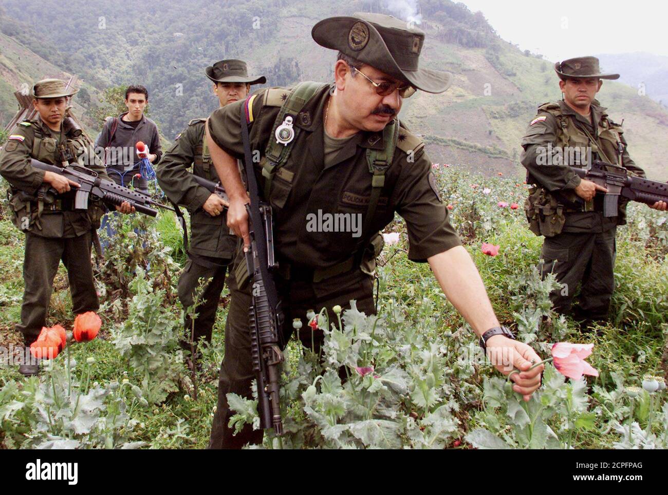 Colombian anti-narcotics police chief General Gustavo Socha touches a poppy  plant during an anti-drug crop eradication program in former rebel enclave  of El Silencio near San Viente del Caguan in Caqueta province,