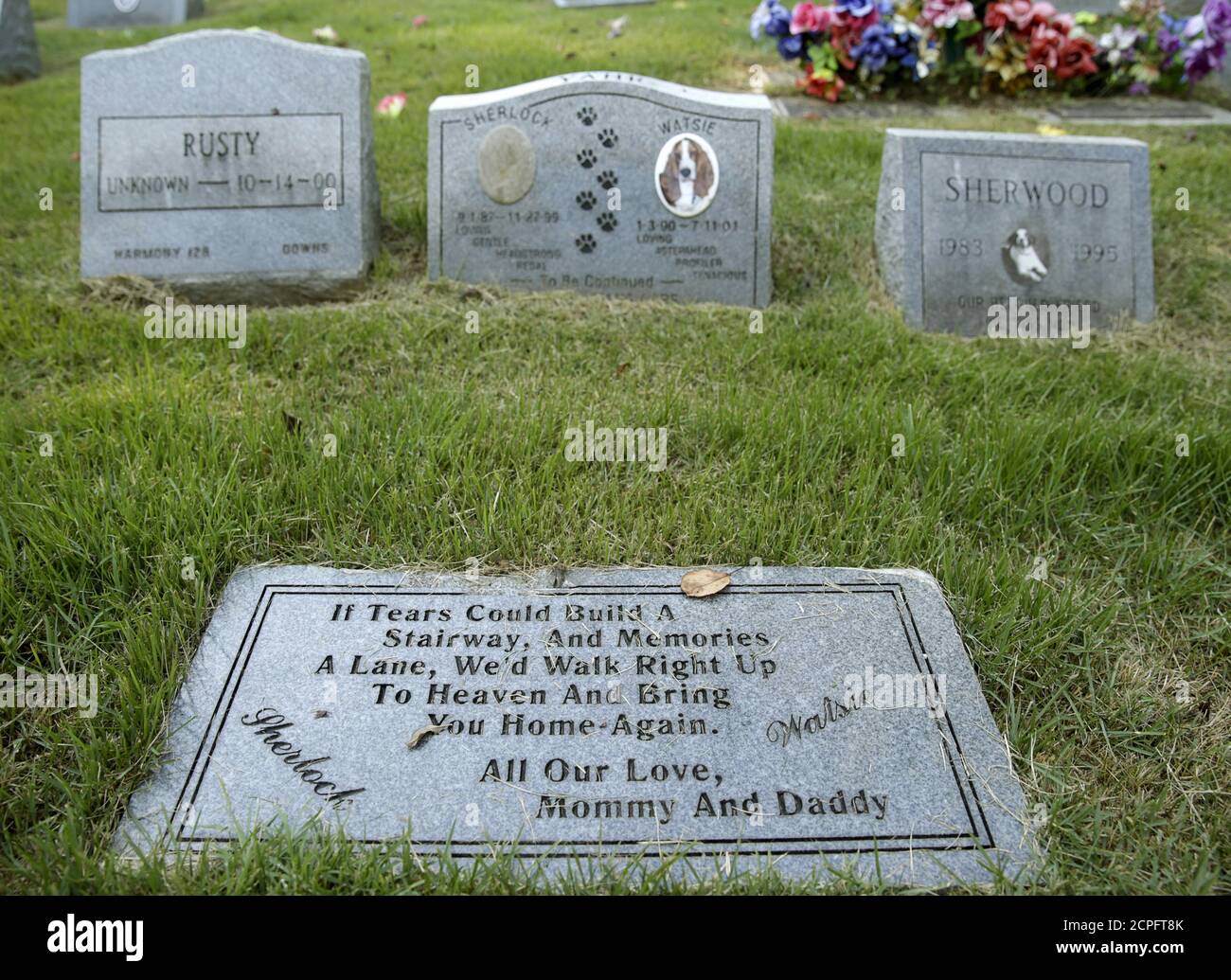 Can You Bury A Dog In A Human Cemetery