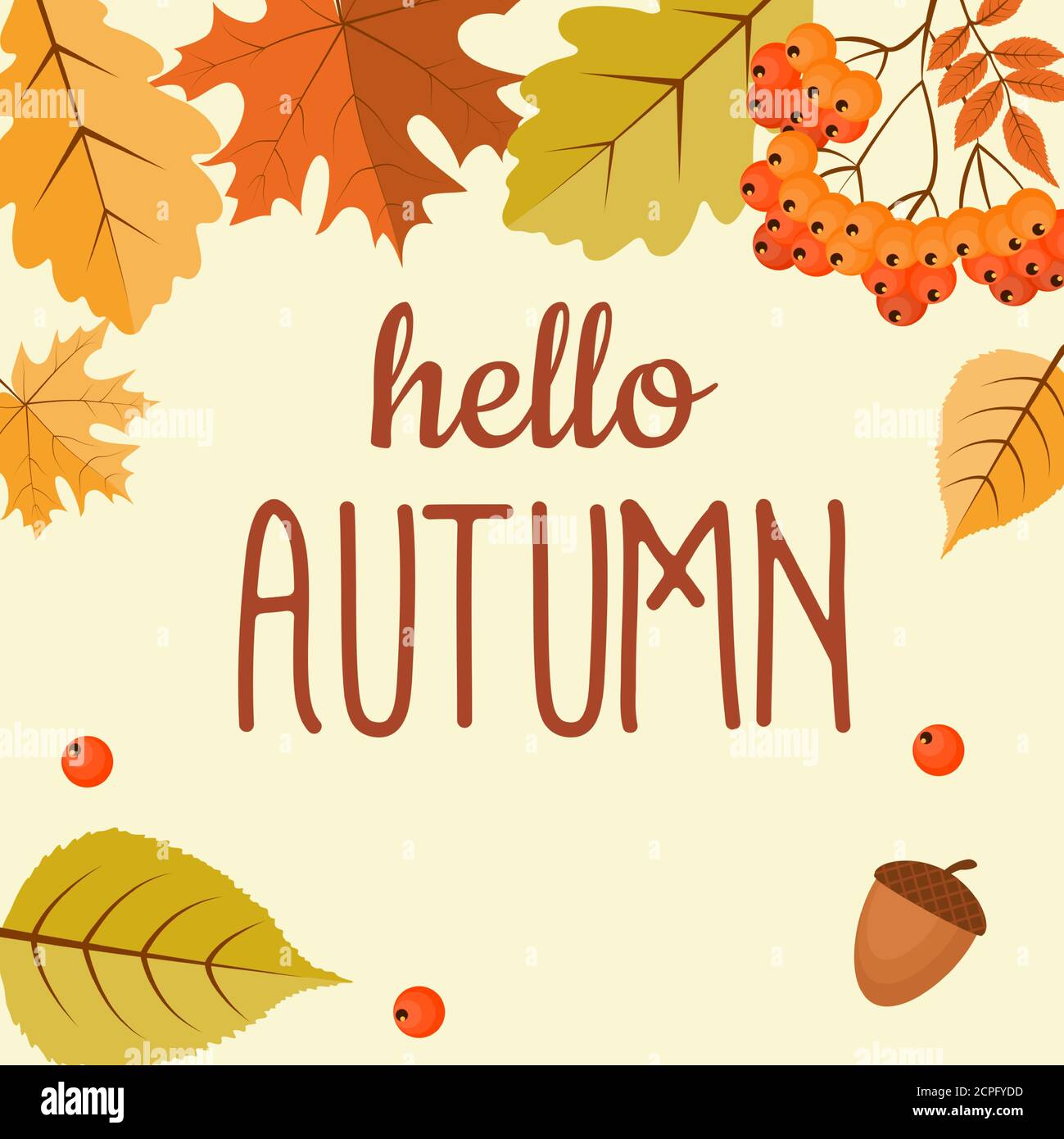 Abstract Hello Autumn Background with Falling Leaves, Rowan and Acorn. Vector Illustration Stock Vector