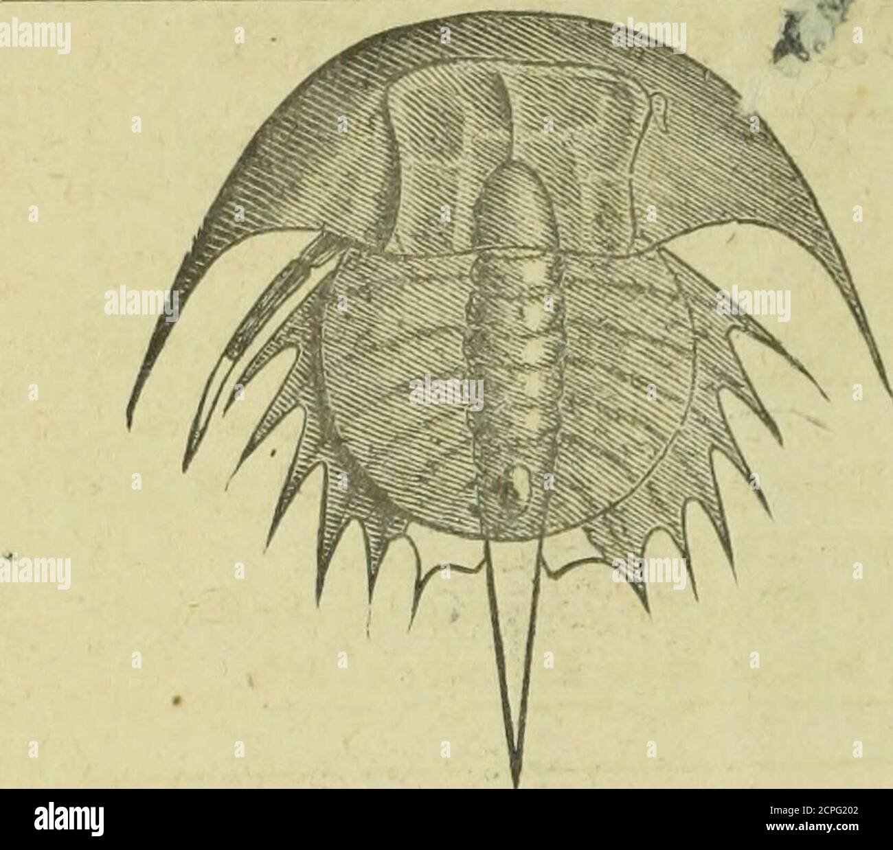 Completely Free Biswxual Dating In Elberton Ga