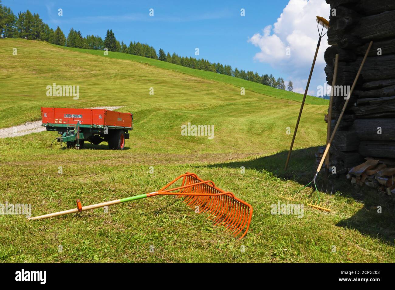 Rakes in Seiser Alm, plateau of italian Alps Stock Photo Alamy