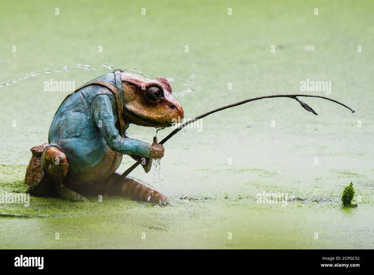 https://c8.alamy.com/comp/2CPGC52/a-small-frog-fishing-with-a-fishing-rod-ornament-in-a-green-lake-2CPGC52.jpg