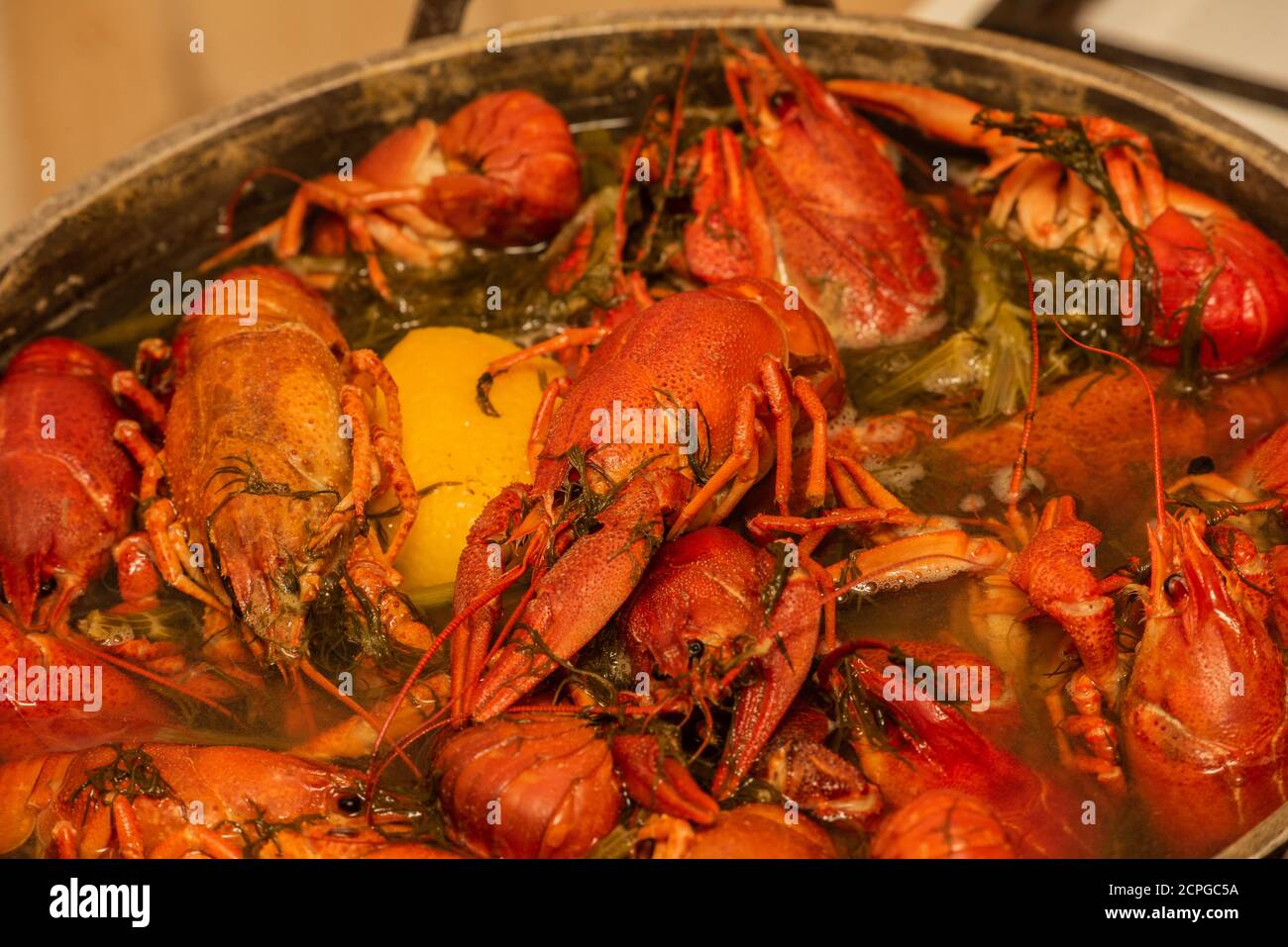 Cooking freshwater crayfish in a pan. Crayfish boil in boiling water