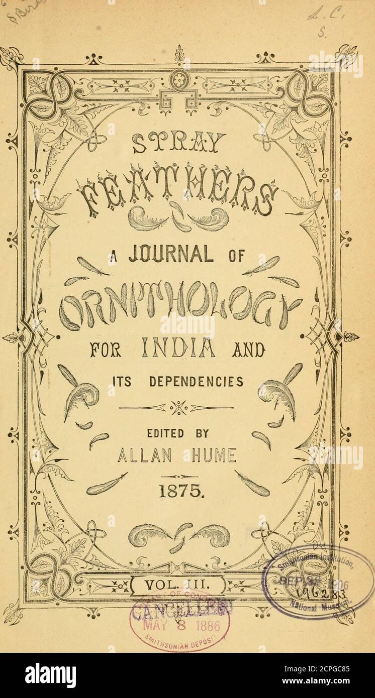 . Stray feathers. Journal of ornithology for India and its dependencies . CALCUTTA: FEINTED AND PUBLISHED BY A. ACTON, AT THE CALCUTTA CENTEAL PEESS, 6, COUNCIL HOUSE STEHET. CONTENTS OF VOL. III. 1875. Nos. 1, 2 & 3.—January. Page.A First List of the Birds of Upper Pegu (PI. II) ... 1 Additions to the Avifauna of Ceylon, and notes on vaeious Species fot^nd theee, by W. Vincent Legge, P. A. 194Notes on some Birds observed in the Suliman Hills, westof Deea G-hazi Khan, by V. Ball, M. A. ... ... 204 On the Breeding of Aceros nipalensis, by J. Gammie, Esq. 209The Swallows and Swifts of Berar, by Stock Photo