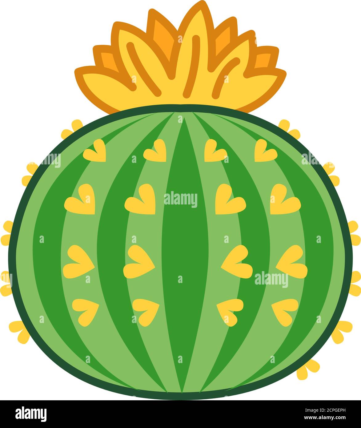 Cactus flower color line icon. Type of cacti. Cactus blooms depends on its age and the care it