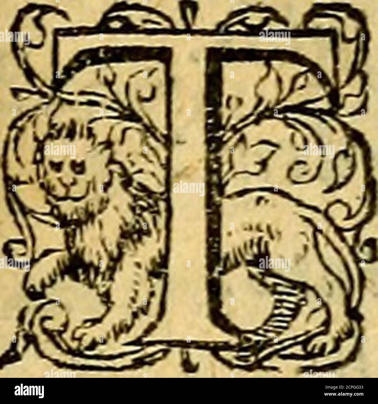 . Emblemata . CLARISS. VIRO ARNOLDO ROSENBERGO IVRISCON S VLTO,HADR. IVNIVS MEDICVS S. D. |i E x T a tibi numeris latebrofa AenigmatamittOyQhcz dextra enodes Oedipus arte ncuus.Rosenberge decus charitu,Mufk-que nouenaRarum ornamentum,prftru£lilu:adde zxCly(hra aluum ducens:z*Aurea malafuper:xsCampanum as:z6 Limaxque piger:z? Ceruijfugaces: z %Pileolus capitis:VeliuoUquezsrates:Et3 °Membrana&gt;tenax quam cera obfignat aratam: * Stock Photo