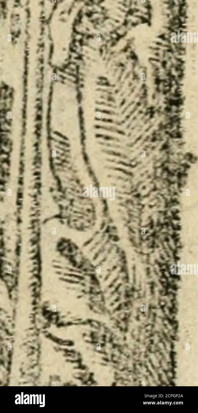 Emblemas Morales De Don Sebastian De Couarrubias Orozco Capellan Del Rey N S Maestrescuela Y Canonigo De Cuenca Consultor Del Santo Oficio I I Ir Emblevia P I Z Uf Verbo Imnoycon Que Prefj I4h S Al