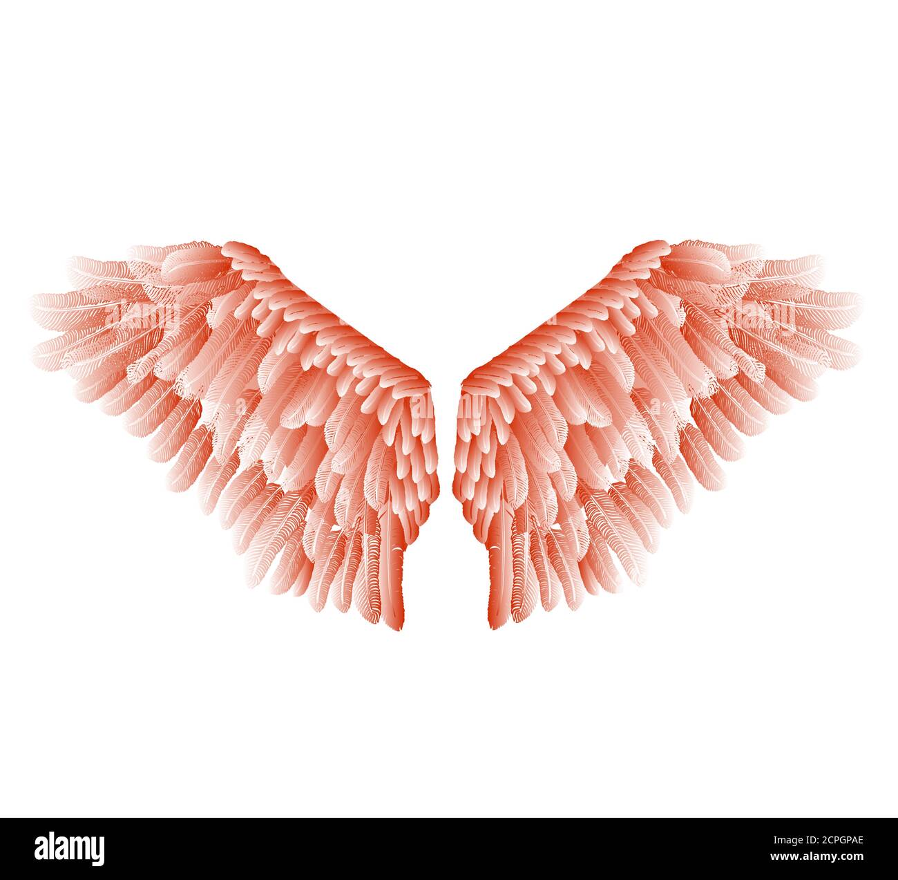 Vector red wings with feathers isolated on white background. Stock Vector