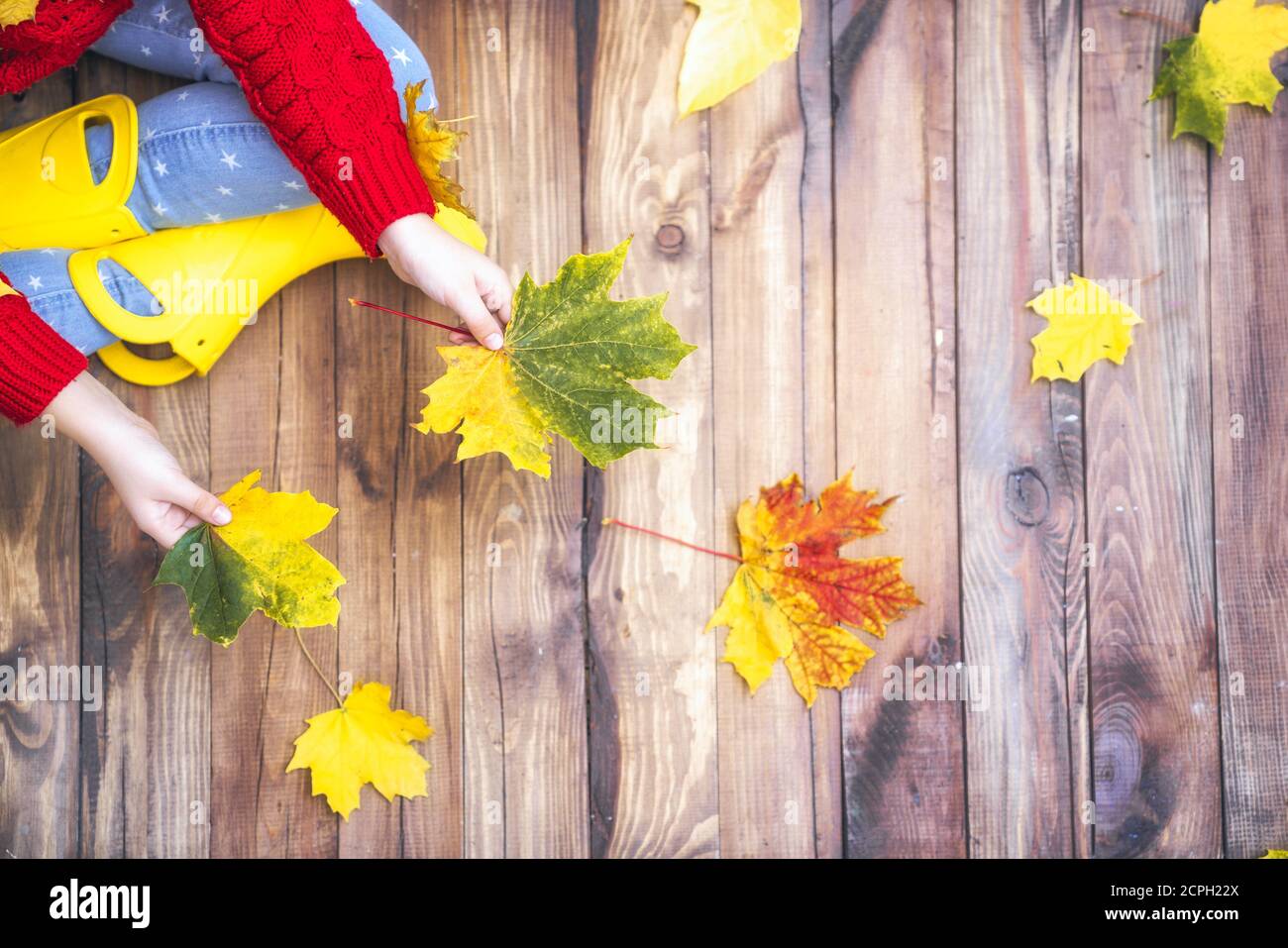 Happy child playing with autumn leaves on the walk Stock Photo - Alamy