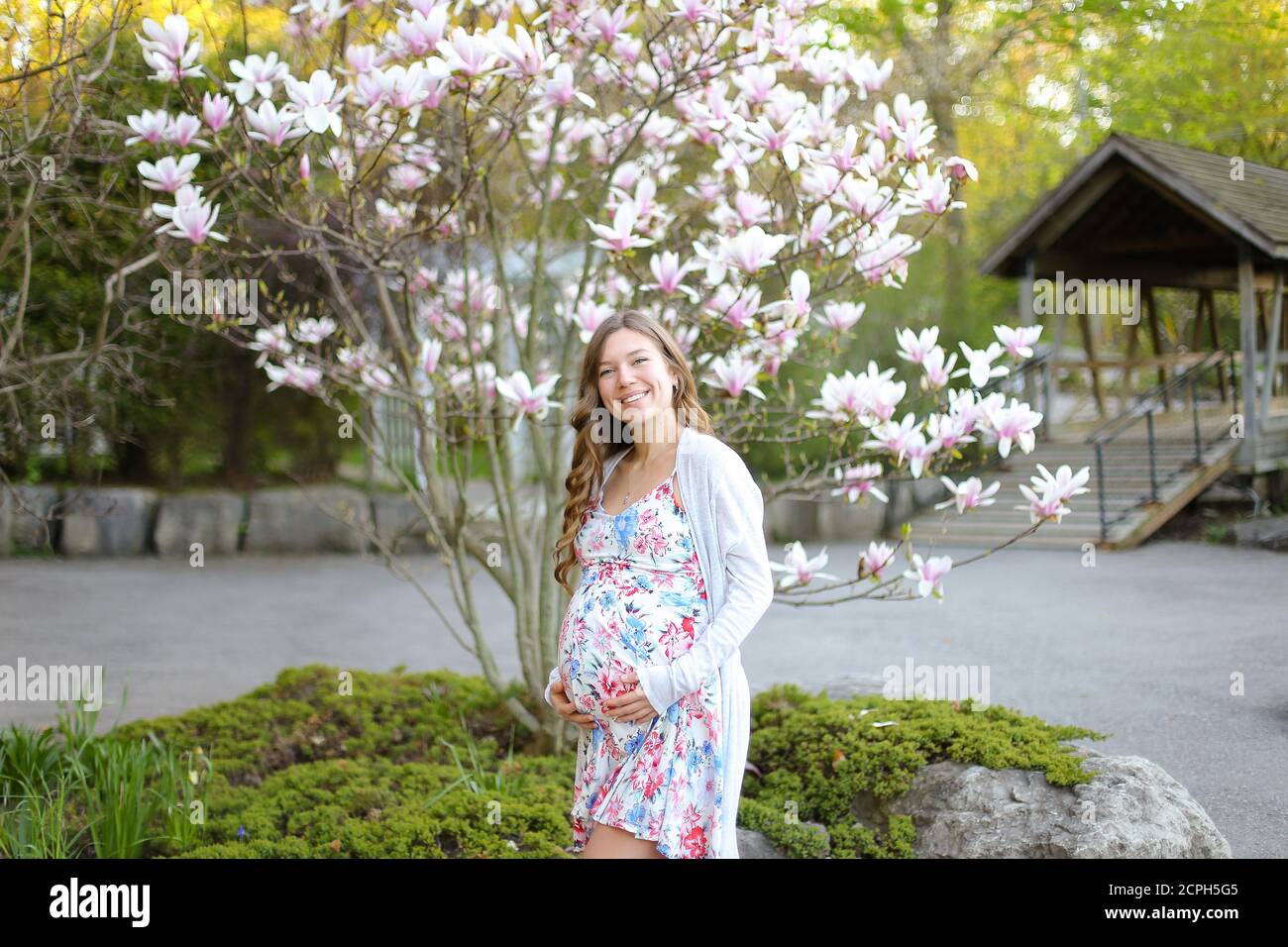 Young pregnant woman standing near blooming tree in park Stock Photo ...
