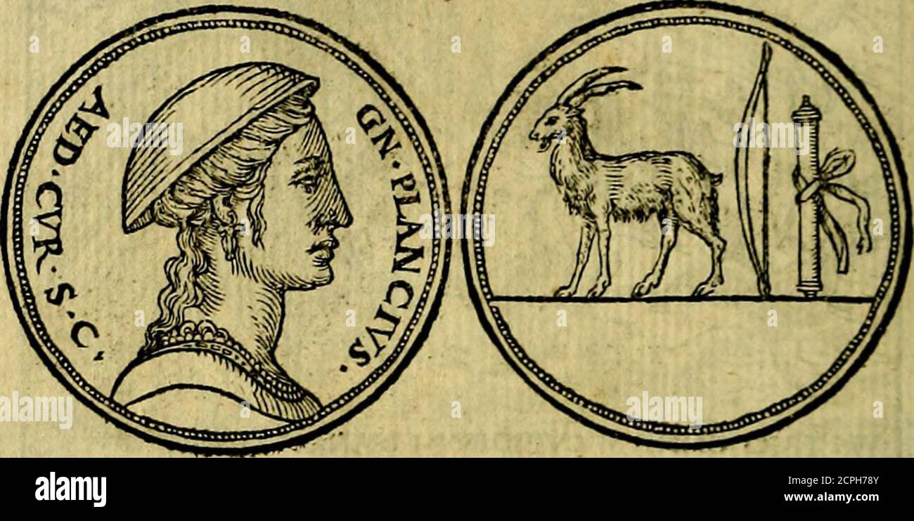 Dilis High Resolution Stock Photography And Images Alamy