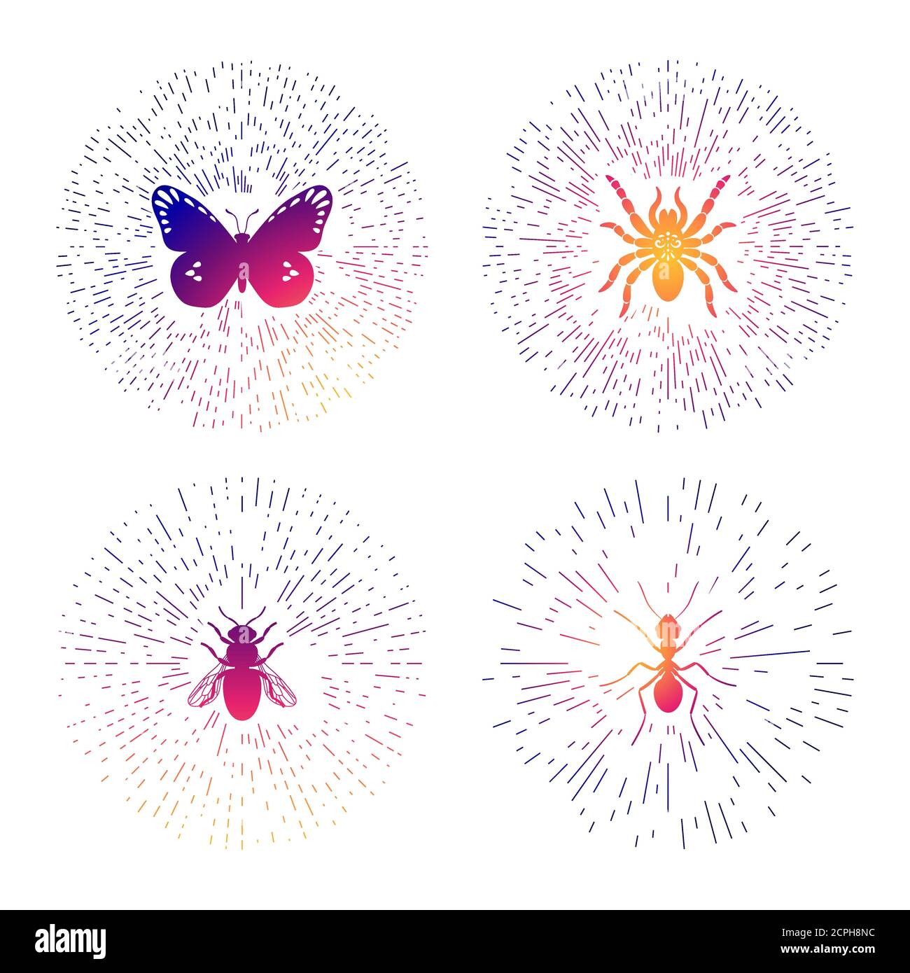 Colorful hipster line logo templates set with insects. Thin line Inside Butterfly Labels Templates