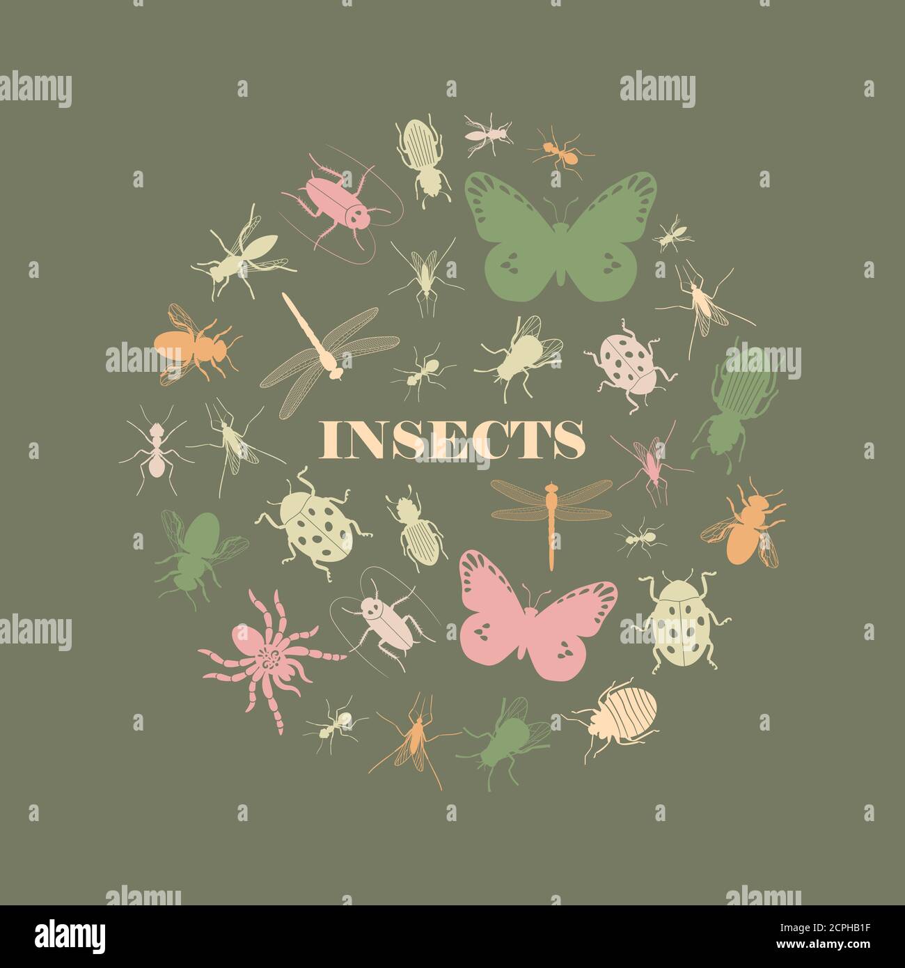 Vintage colors insect icons in round shape, vector illustration Stock ...